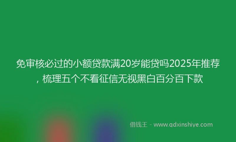 免审核必过的小额贷款满20岁能贷吗2025年推荐，梳理五个不看征信无视黑白百分百下款