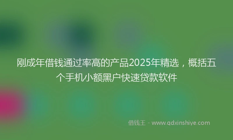 刚成年借钱通过率高的产品2025年精选，概括五个手机小额黑户快速贷款软件