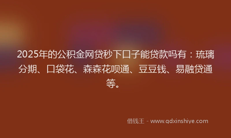 2025年的公积金网贷秒下口子能贷款吗有：琉璃分期、口袋花、森森花呗通、豆豆钱、易融贷通等。