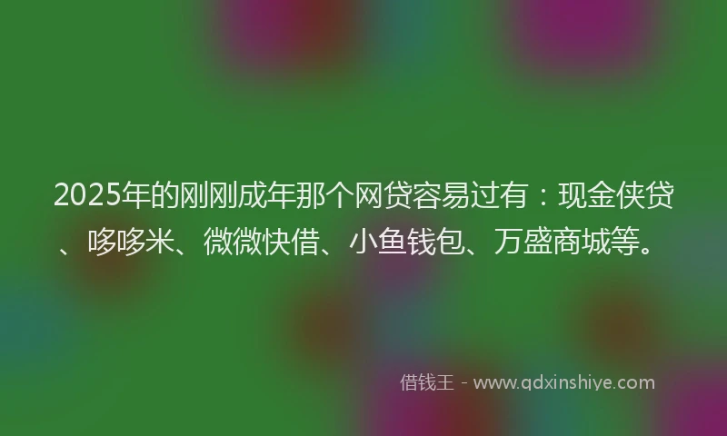 2025年的刚刚成年那个网贷容易过有：现金侠贷、哆哆米、微微快借、小鱼钱包、万盛商城等。