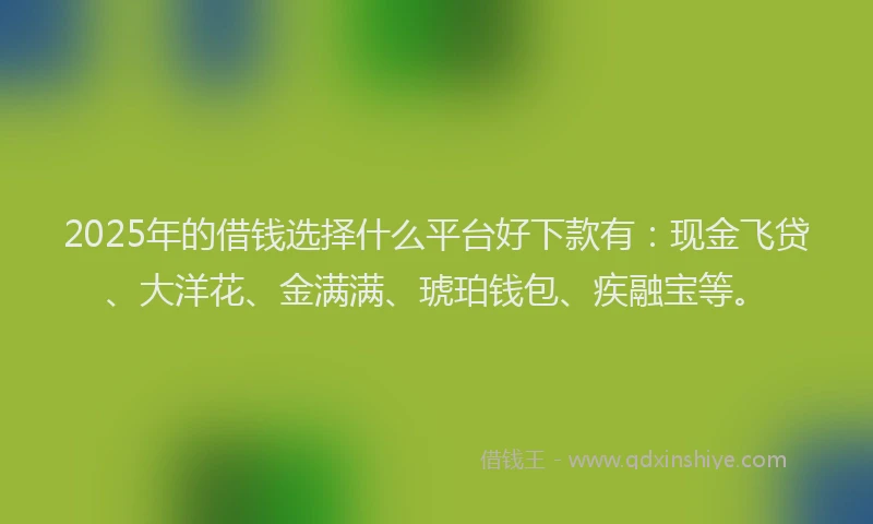 2025年的借钱选择什么平台好下款有：现金飞贷、大洋花、金满满、琥珀钱包、疾融宝等。