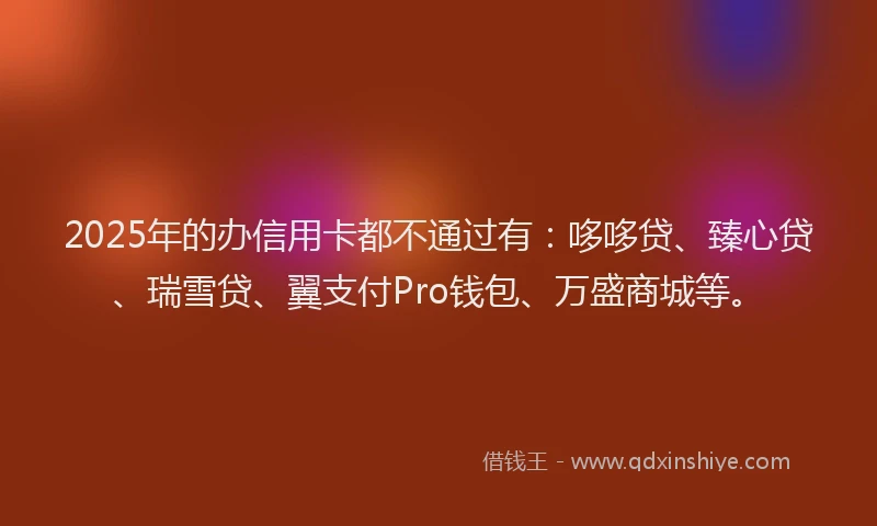 2025年的办信用卡都不通过有：哆哆贷、臻心贷、瑞雪贷、翼支付Pro钱包、万盛商城等。