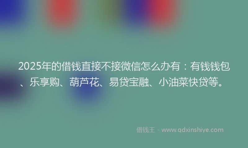 2025年的借钱直接不接微信怎么办有：有钱钱包、乐享购、葫芦花、易贷宝融、小油菜快贷等。
