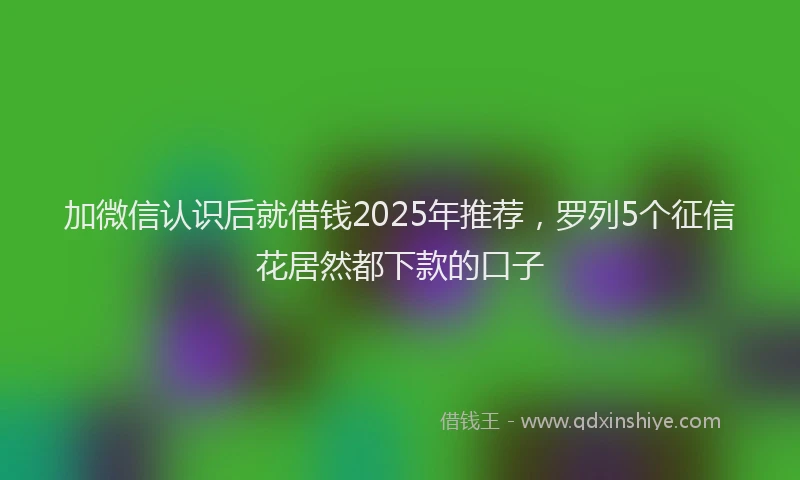 加微信认识后就借钱2025年推荐，罗列5个征信花居然都下款的口子