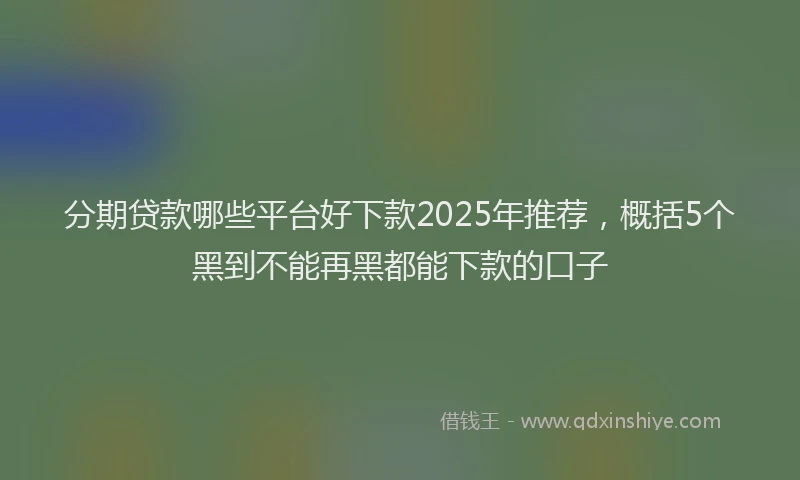 分期贷款哪些平台好下款2025年推荐，概括5个黑到不能再黑都能下款的口子