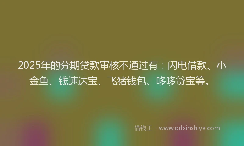 2025年的分期贷款审核不通过有：闪电借款、小金鱼、钱速达宝、飞猪钱包、哆哆贷宝等。