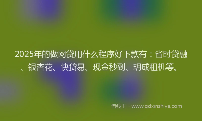 2025年的做网贷用什么程序好下款有：省时贷融、银杏花、快贷易、现金秒到、玥成租机等。