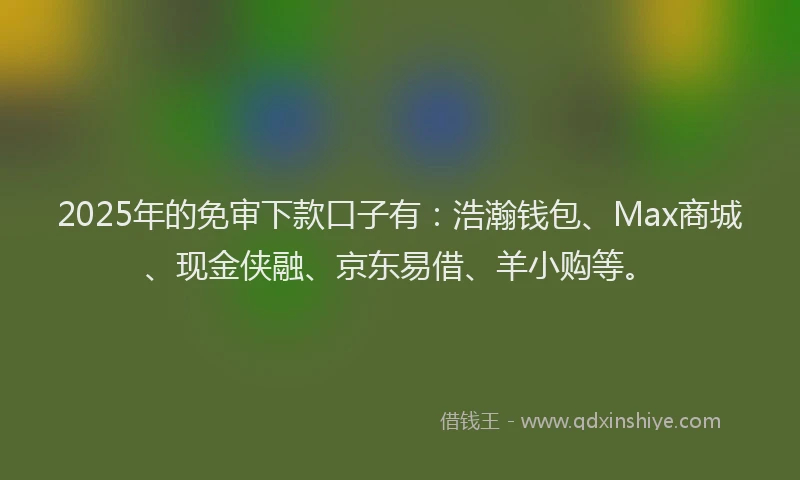 2025年的免审下款口子有：浩瀚钱包、Max商城、现金侠融、京东易借、羊小购等。