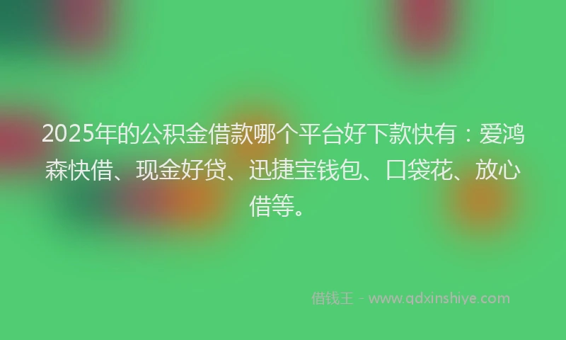 2025年的公积金借款哪个平台好下款快有：爱鸿森快借、现金好贷、迅捷宝钱包、口袋花、放心借等。
