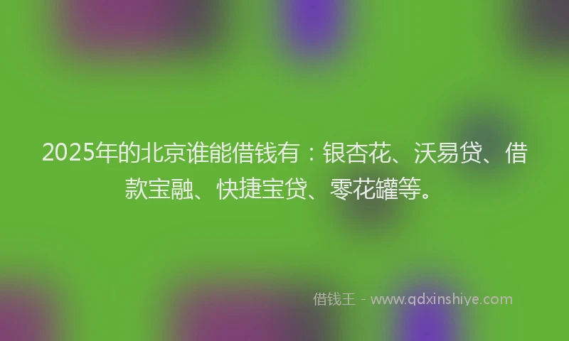 2025年的北京谁能借钱有：银杏花、沃易贷、借款宝融、快捷宝贷、零花罐等。