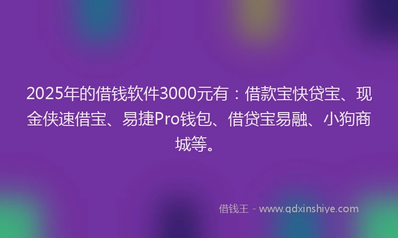 2025年的借钱软件3000元有：借款宝快贷宝、现金侠速借宝、易捷Pro钱包、借贷宝易融、小狗商城等。