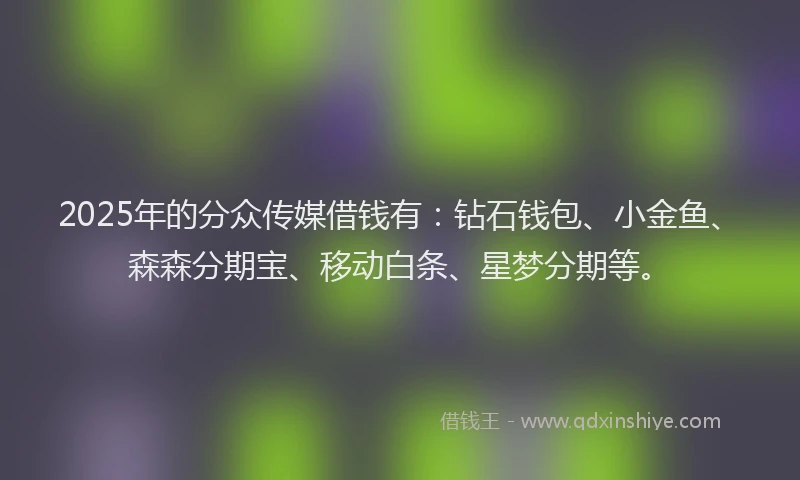 2025年的分众传媒借钱有：钻石钱包、小金鱼、森森分期宝、移动白条、星梦分期等。