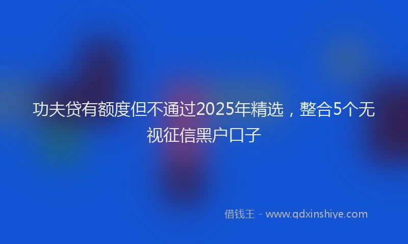 功夫贷有额度但不通过2025年精选，整合5个无视征信黑户口子