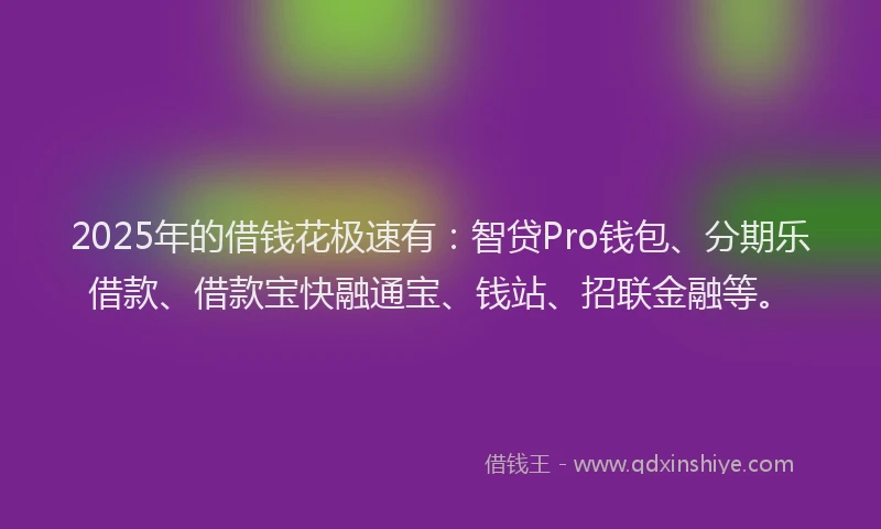 2025年的借钱花极速有：智贷Pro钱包、分期乐借款、借款宝快融通宝、钱站、招联金融等。