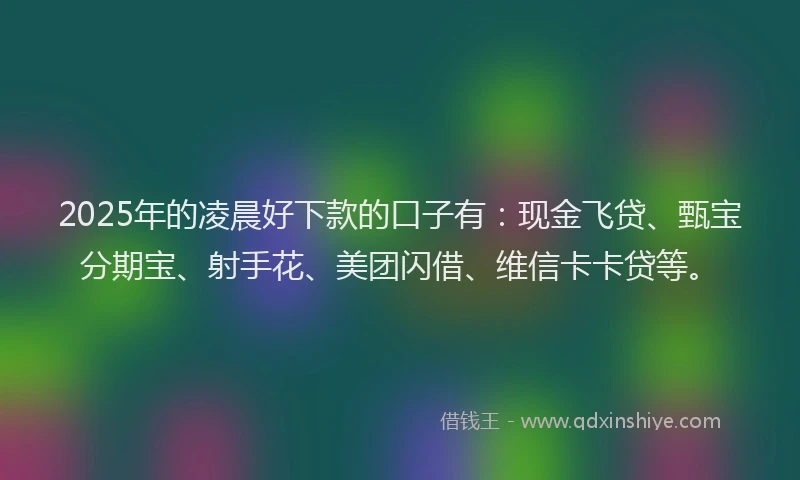 2025年的凌晨好下款的口子有：现金飞贷、甄宝分期宝、射手花、美团闪借、维信卡卡贷等。