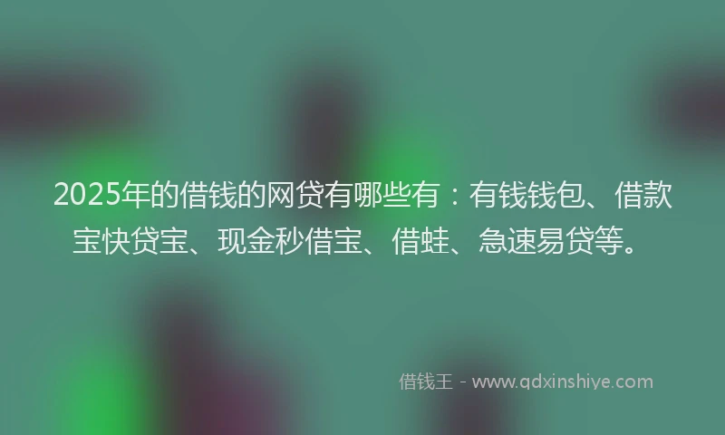 2025年的借钱的网贷有哪些有：有钱钱包、借款宝快贷宝、现金秒借宝、借蛙、急速易贷等。