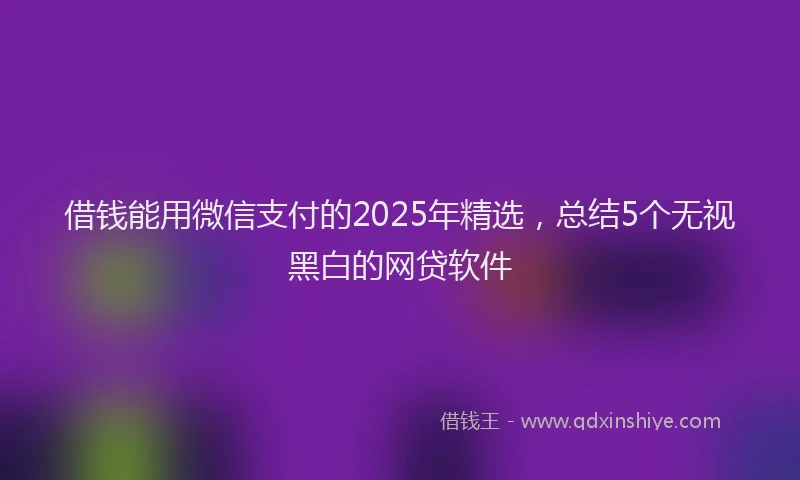 借钱能用微信支付的2025年精选，总结5个无视黑白的网贷软件
