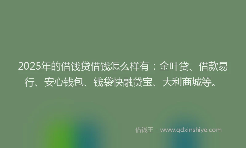 2025年的借钱贷借钱怎么样有：金叶贷、借款易行、安心钱包、钱袋快融贷宝、大利商城等。