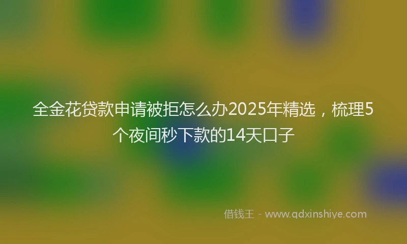 全金花贷款申请被拒怎么办2025年精选，梳理5个夜间秒下款的14天口子