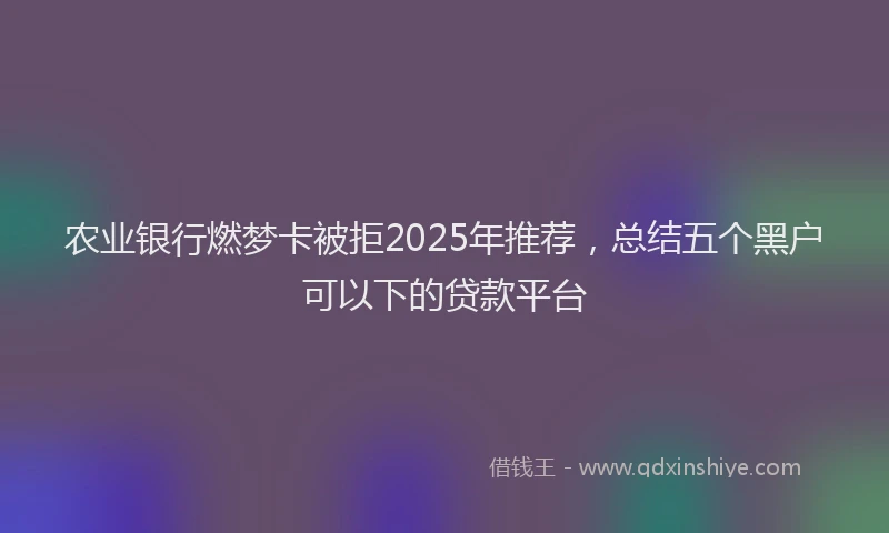 农业银行燃梦卡被拒2025年推荐，总结五个黑户可以下的贷款平台