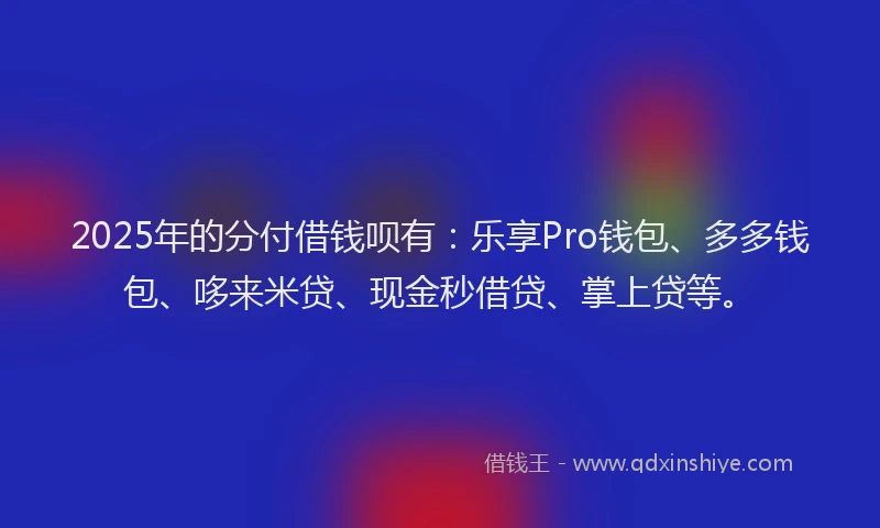 2025年的分付借钱呗有：乐享Pro钱包、多多钱包、哆来米贷、现金秒借贷、掌上贷等。