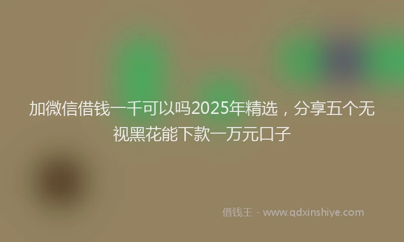 加微信借钱一千可以吗2025年精选，分享五个无视黑花能下款一万元口子