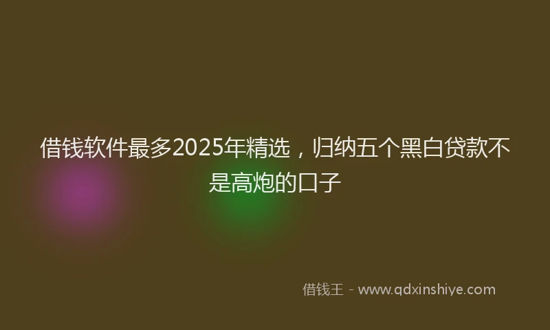 借钱软件最多2025年精选，归纳五个黑白贷款不是高炮的口子