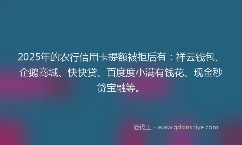 2025年的农行信用卡提额被拒后有：祥云钱包、企鹅商城、快快贷、百度度小满有钱花、现金秒贷宝融等。