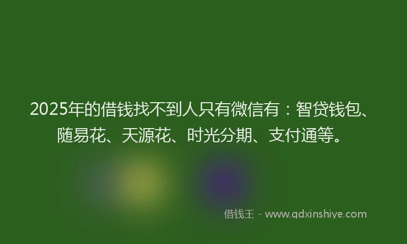 2025年的借钱找不到人只有微信有：智贷钱包、随易花、天源花、时光分期、支付通等。