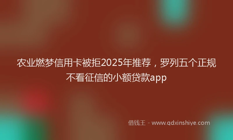 农业燃梦信用卡被拒2025年推荐，罗列五个正规不看征信的小额贷款app