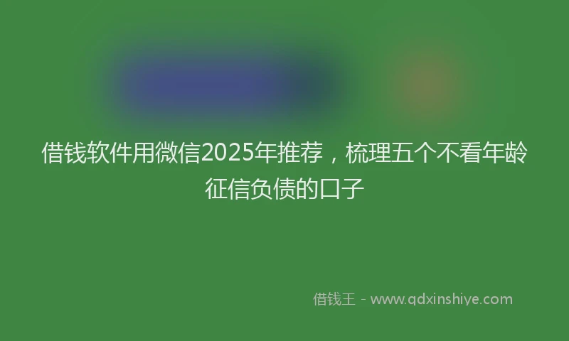 借钱软件用微信2025年推荐，梳理五个不看年龄征信负债的口子
