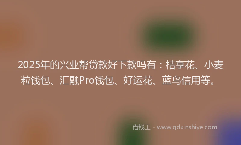 2025年的兴业帮贷款好下款吗有：桔享花、小麦粒钱包、汇融Pro钱包、好运花、蓝鸟信用等。
