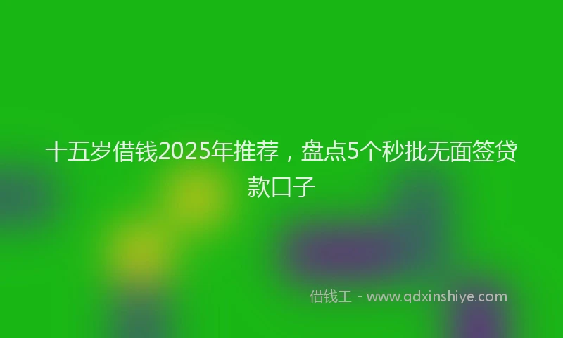 十五岁借钱2025年推荐，盘点5个秒批无面签贷款口子