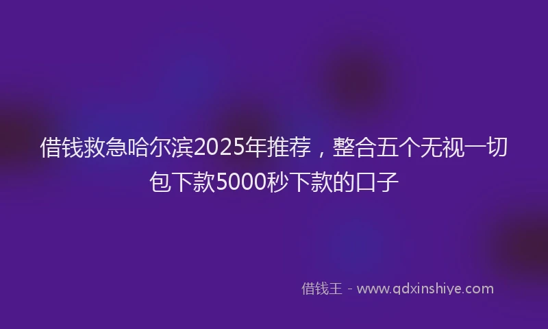 借钱救急哈尔滨2025年推荐，整合五个无视一切包下款5000秒下款的口子