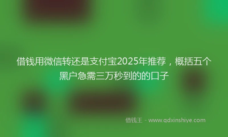 借钱用微信转还是支付宝2025年推荐，概括五个黑户急需三万秒到的的口子