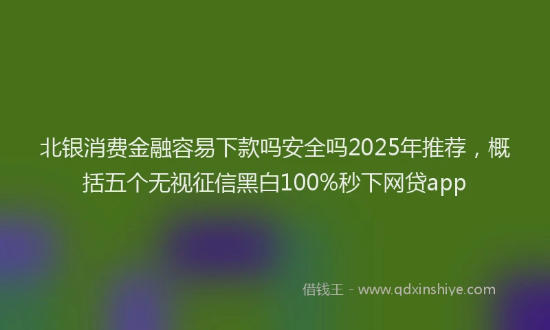北银消费金融容易下款吗安全吗2025年推荐，概括五个无视征信黑白100%秒下网贷app