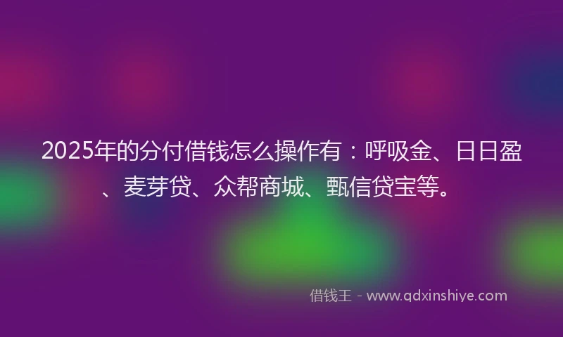 2025年的分付借钱怎么操作有：呼吸金、日日盈、麦芽贷、众帮商城、甄信贷宝等。