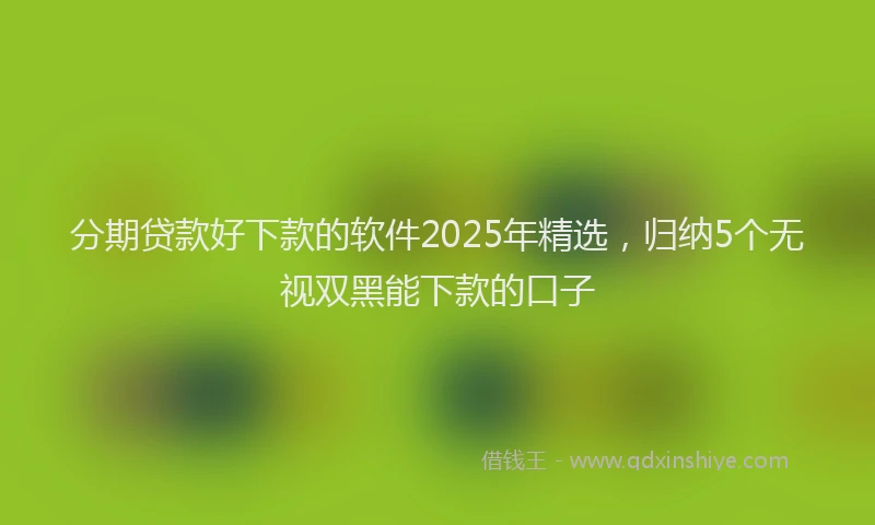 分期贷款好下款的软件2025年精选，归纳5个无视双黑能下款的口子