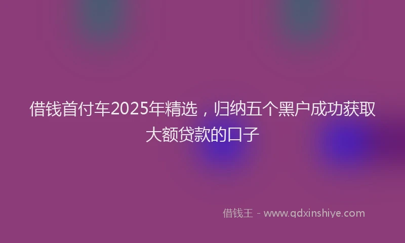 借钱首付车2025年精选，归纳五个黑户成功获取大额贷款的口子