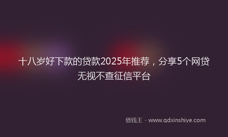 十八岁好下款的贷款2025年推荐，分享5个网贷无视不查征信平台