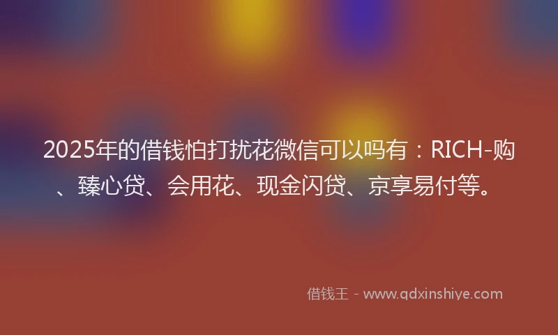 2025年的借钱怕打扰花微信可以吗有：RICH-购、臻心贷、会用花、现金闪贷、京享易付等。