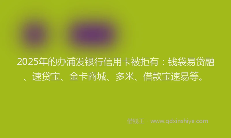 2025年的办浦发银行信用卡被拒有：钱袋易贷融、速贷宝、金卡商城、多米、借款宝速易等。