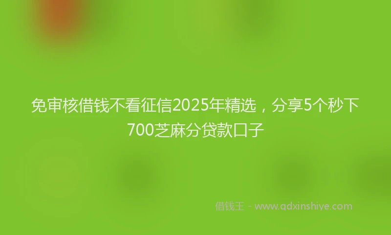免审核借钱不看征信2025年精选，分享5个秒下700芝麻分贷款口子