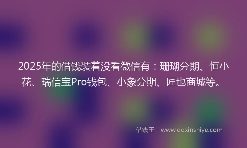 2025年的借钱装着没看微信有：珊瑚分期、恒小花、瑞信宝Pro钱包、小象分期、匠也商城等。
