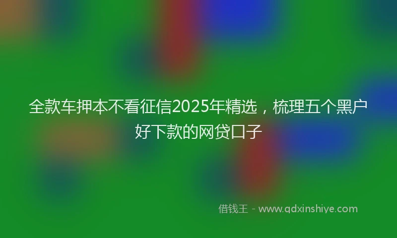 全款车押本不看征信2025年精选，梳理五个黑户好下款的网贷口子