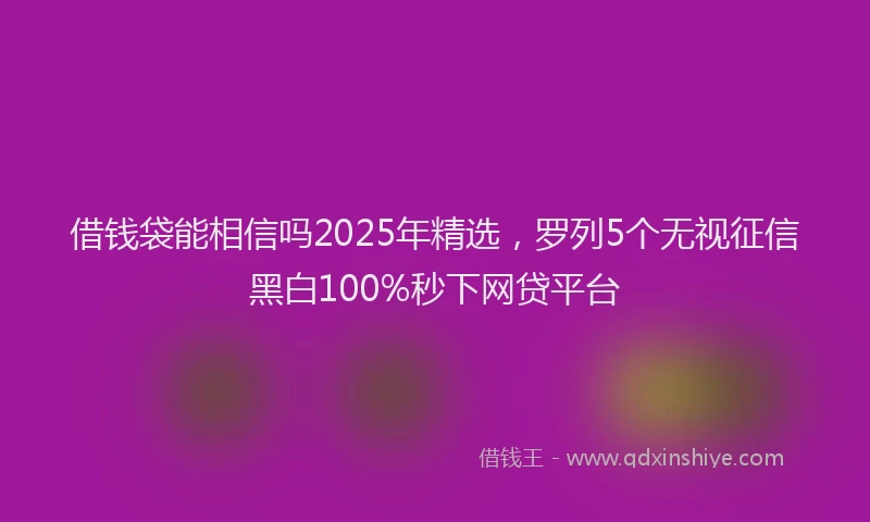 借钱袋能相信吗2025年精选，罗列5个无视征信黑白100%秒下网贷平台