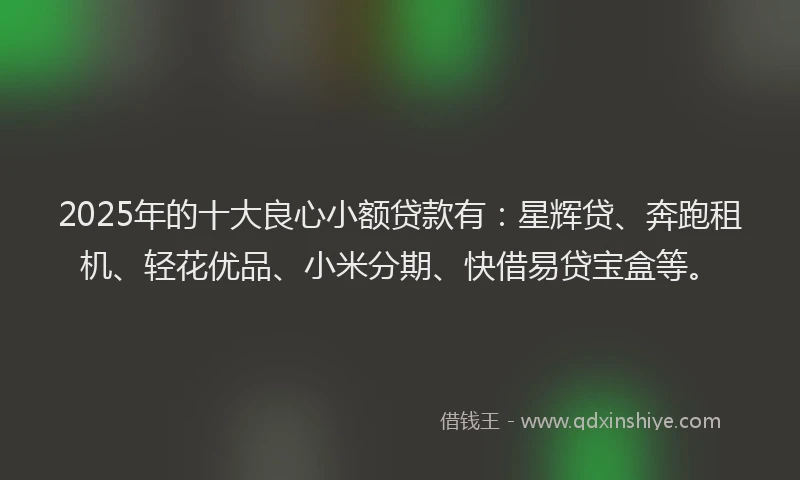 2025年的十大良心小额贷款有：星辉贷、奔跑租机、轻花优品、小米分期、快借易贷宝盒等。