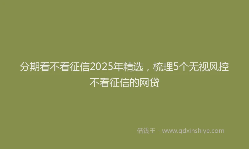 分期看不看征信2025年精选，梳理5个无视风控不看征信的网贷