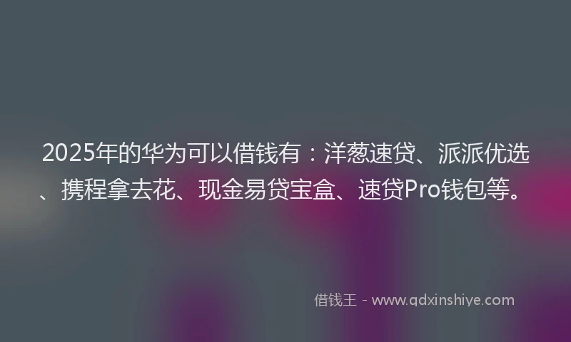 2025年的华为可以借钱有：洋葱速贷、派派优选、携程拿去花、现金易贷宝盒、速贷Pro钱包等。