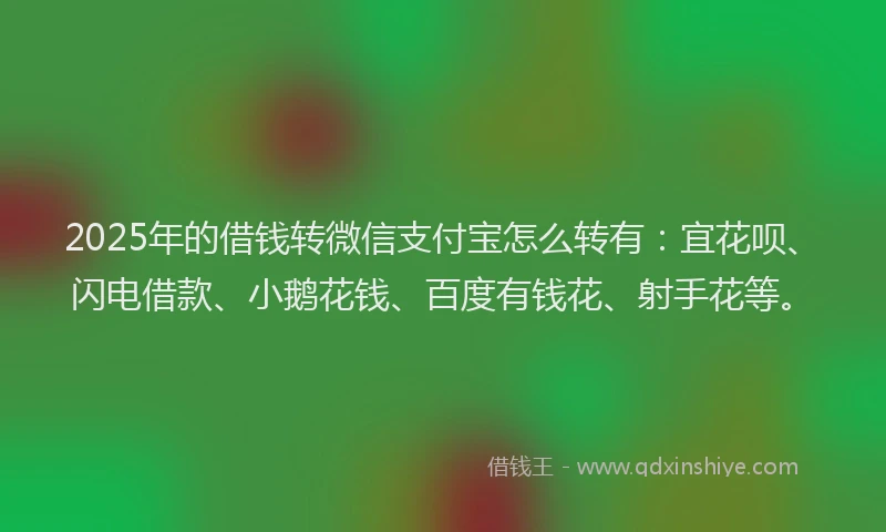 2025年的借钱转微信支付宝怎么转有：宜花呗、闪电借款、小鹅花钱、百度有钱花、射手花等。